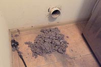 Dryer Vent Cleaning